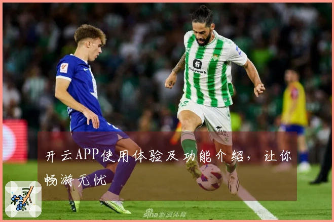 开云APP使用体验及功能介绍,让你畅游无忧