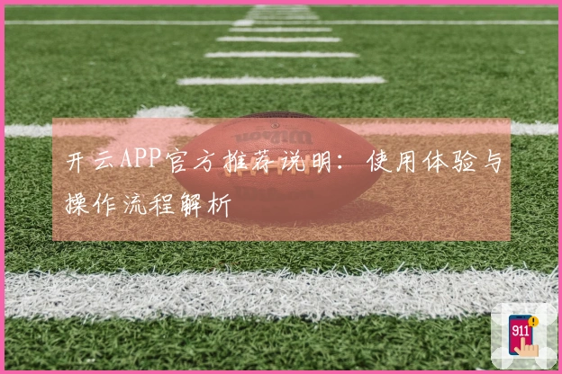 开云APP官方推荐说明：使用体验与操作流程解析