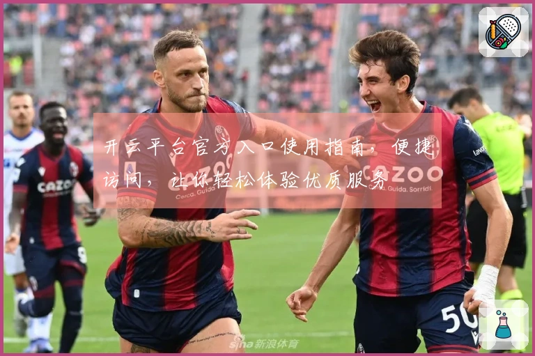 开云平台官方入口使用指南，便捷访问，让你轻松体验优质服务