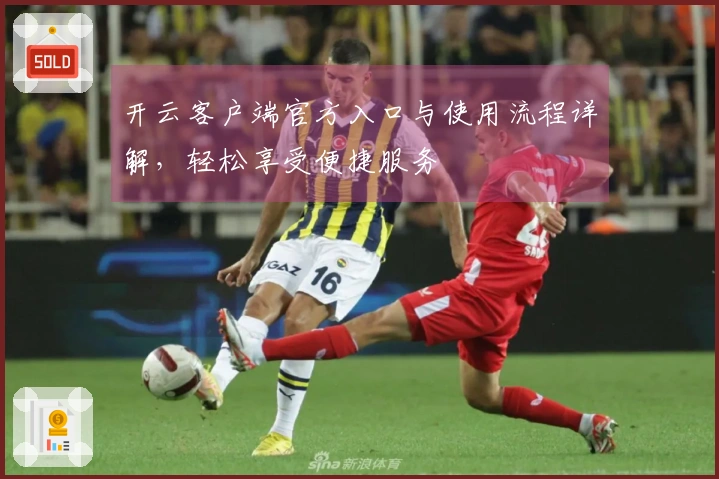 开云客户端官方入口与使用流程详解，轻松享受便捷服务